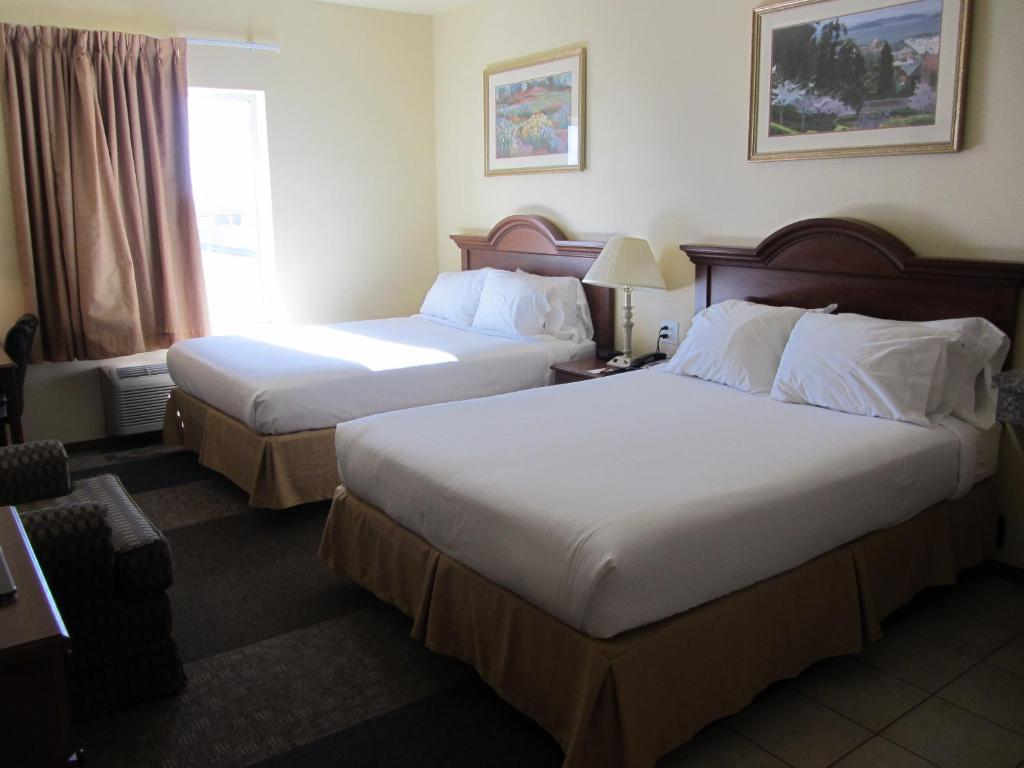 Reddy Hotel Plainview Værelse billede